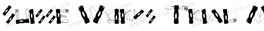 Suisse Works Trial M字体转换